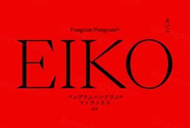 PPEiko-Heavy优雅精致的衬线体英文字体下载