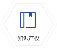 知识产权