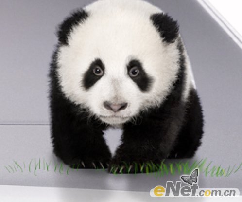 PhotoShop打造Wacom中国风熊猫创意广告海报制作教程 