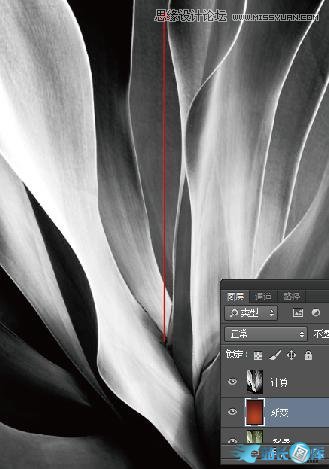 Photoshop使用计算工具调出别致的颜色,PS教程,站长图库