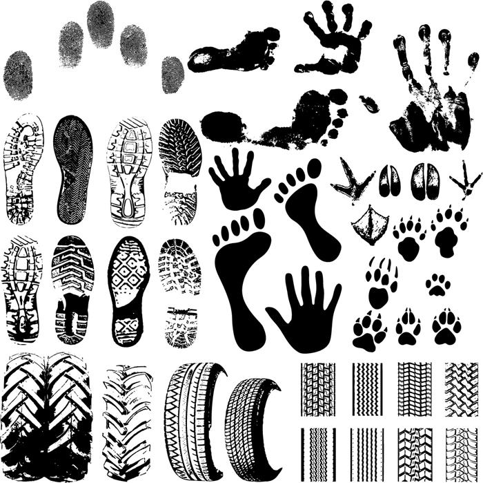 Footprints_vector1 [转换].jpg