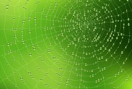绿色蜘蛛网背景设计矢量素材下载