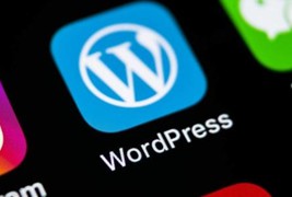 WordPress主题给文章增加百度是否已收录的功能