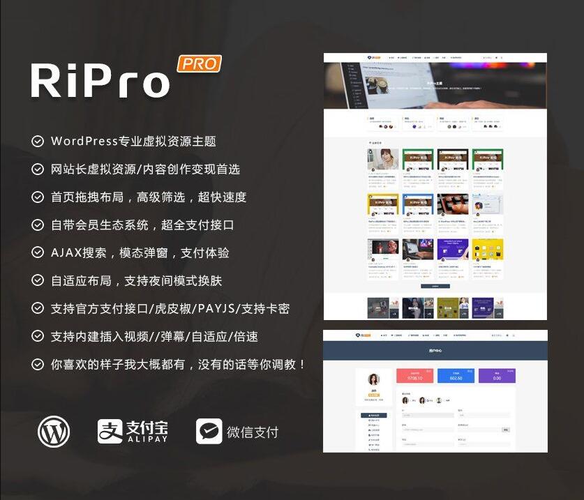 WordPress主题RiPro v8.6无限制版/WordPress虚拟资源下载主题分享