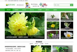花卉养殖新闻资讯类织梦模板/DedeCMS带手机版数据同步绿色花草植物网站模板下载
