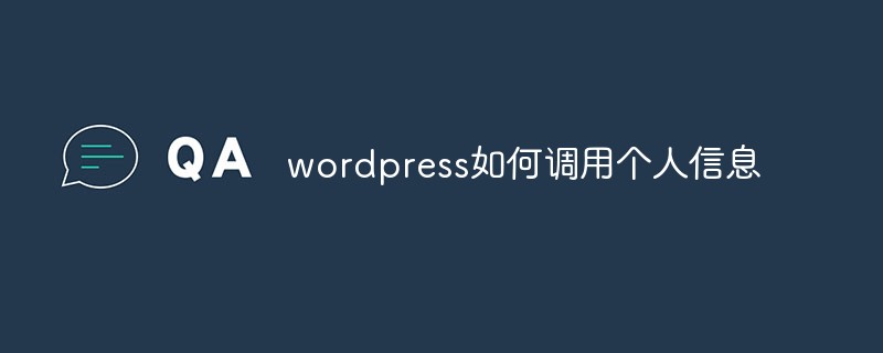 Wordpress如何调用个人信息