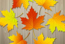 木板上的秋天落叶矢量素材