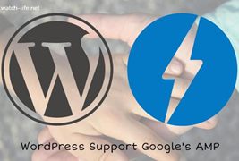如何让WordPress支持google AMP