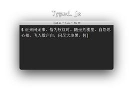 Typed.js程序员编程打字效果