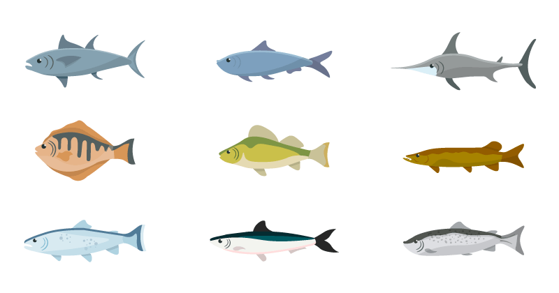 九种不同的鱼类插图矢量素材