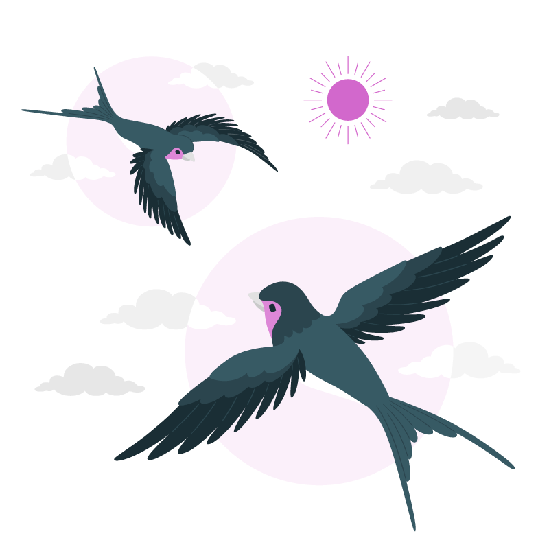 两只在天空中飞翔的燕子插画矢量素材