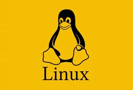 Linux怎么查看80端口被哪个进程占用