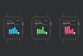 Apple Watch 分析界面sketch素材