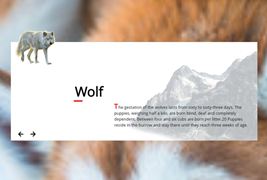 html动物介绍滑块切换页面模板