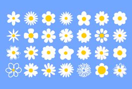 28个简单涂鸦的雏菊花朵矢量素材
